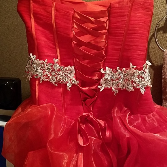 Absolutely Gorgeous Formal Dress - Picture 7 of 8